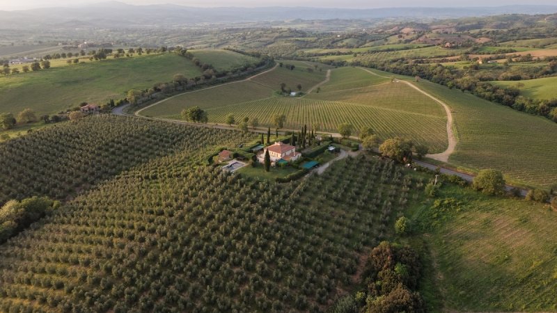 Agriturismo a Scansano