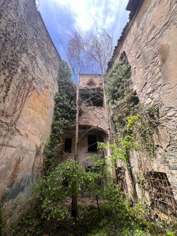 Palats i Bettola