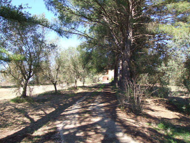 Villa in Attigliano