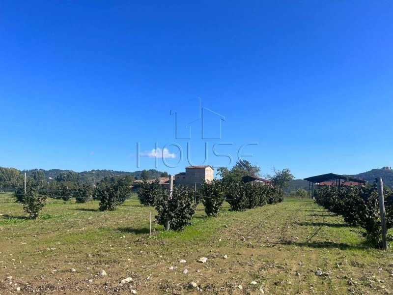 Casa a Città di Castello