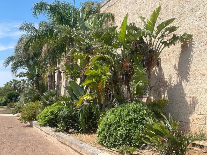 Hôtel à Carovigno