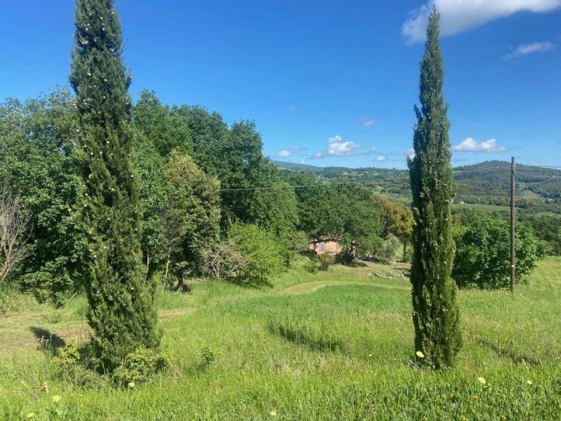 Maison à Roccastrada