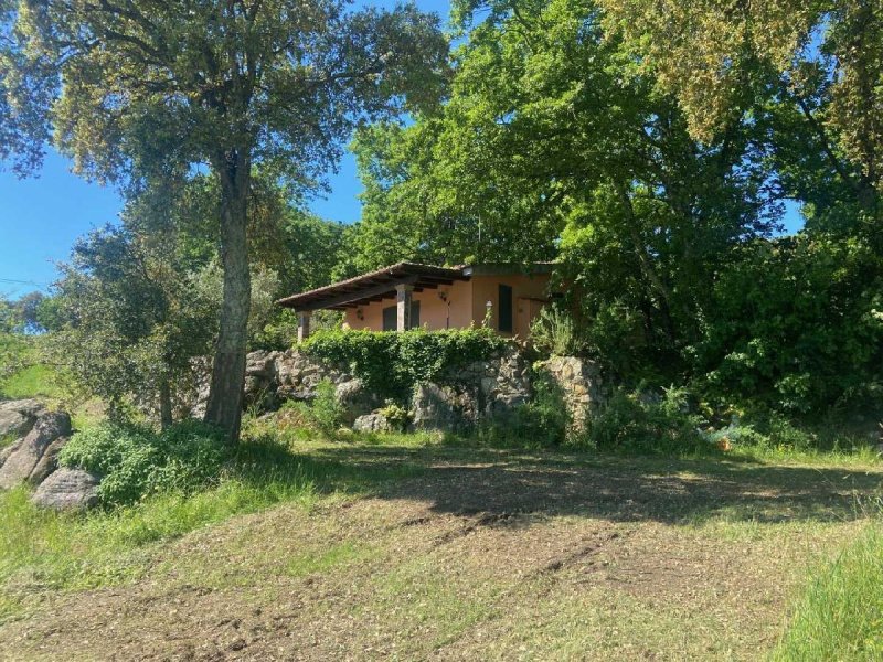 Maison à Roccastrada