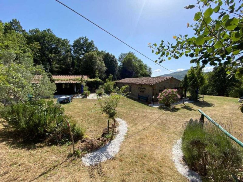 House in Roccastrada