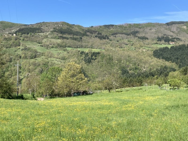 Bauland in Chiusi della Verna