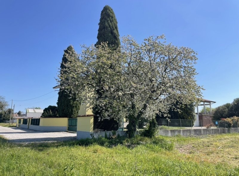 Country house in Udine