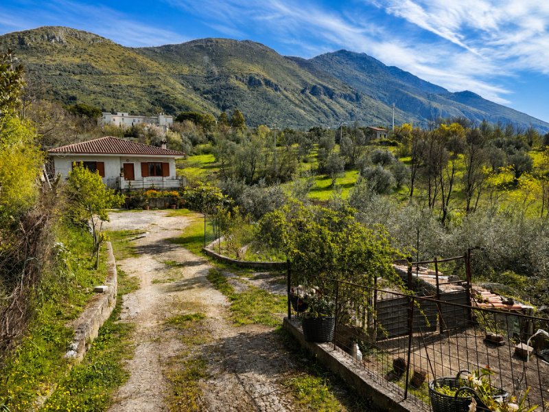 Moradia em San Vittore del Lazio