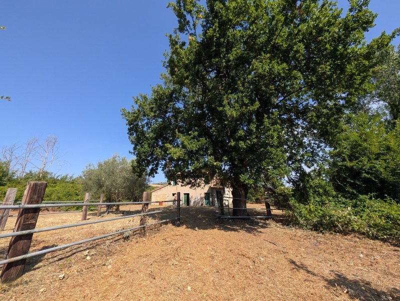 Haus in Cingoli