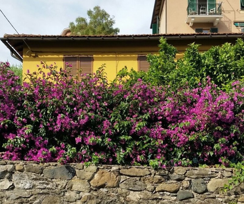 Appartement individuel à Monterosso al Mare