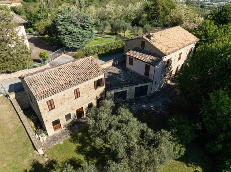 Lantställe i Serra San Quirico