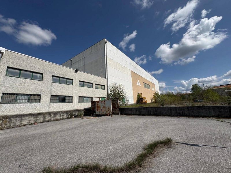 Bedrijfspand in Mondovì