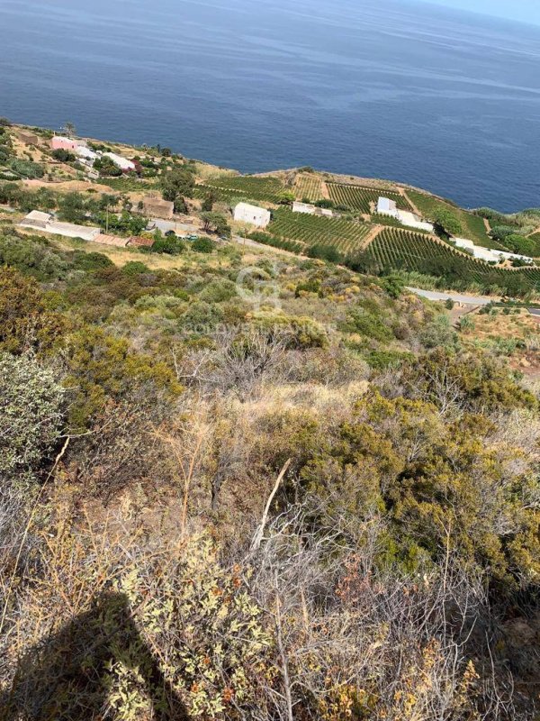 Terreno agrícola en Malfa