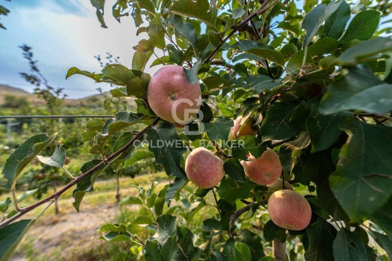Explotación agrícola en Caltagirone