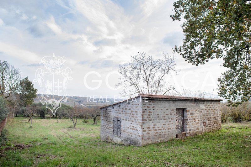 Casa de campo em Gallese