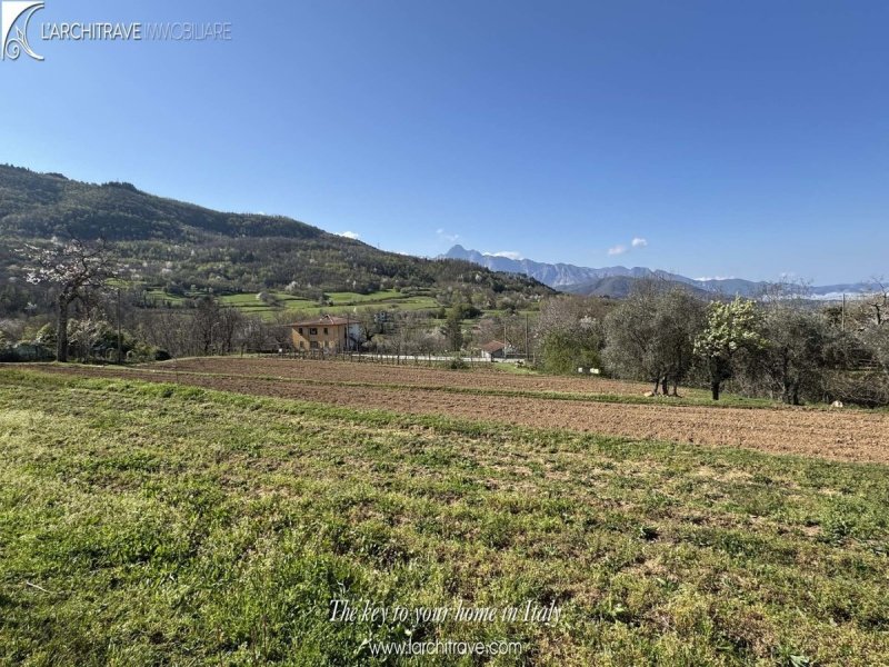 卡索拉-因卢尼贾纳房屋