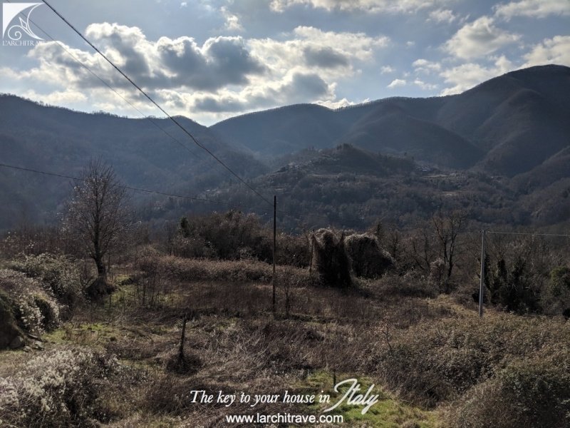 特雷萨纳半独立房屋