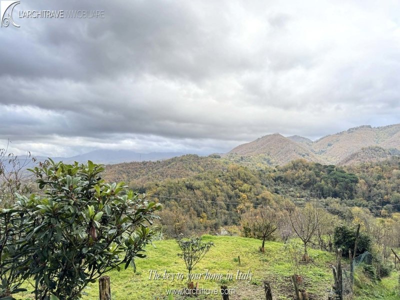 Особняк из двух квартир в Аулла