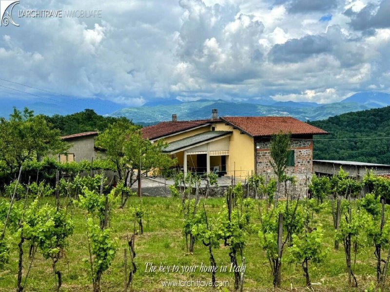 Особняк из двух квартир в Аулла