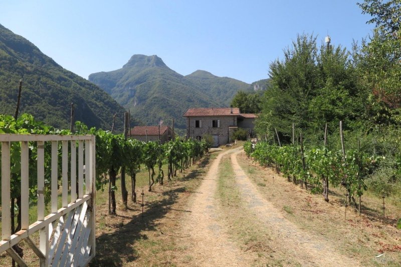 Klein huisje op het platteland in Fivizzano
