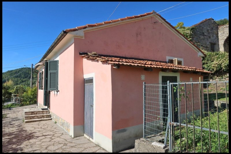 菲维扎诺独栋房屋