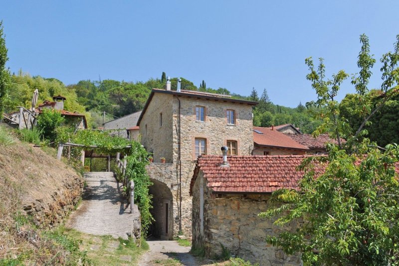 Kleines Dorf in Fivizzano