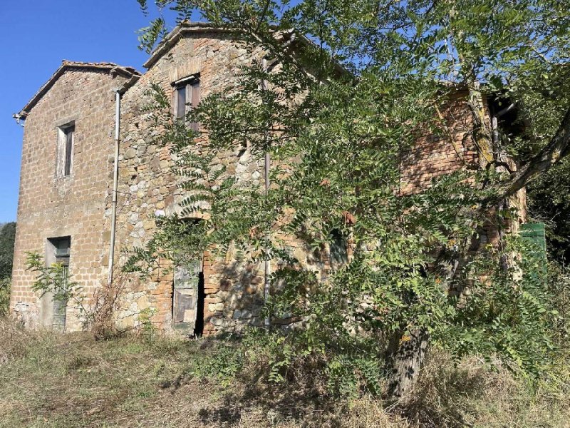 Farmhouse in Ficulle