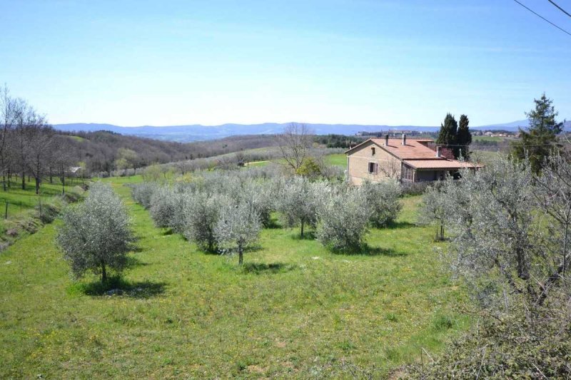 Villa i Montegabbione