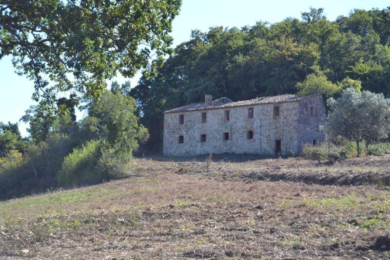 Farmhouse in Allerona