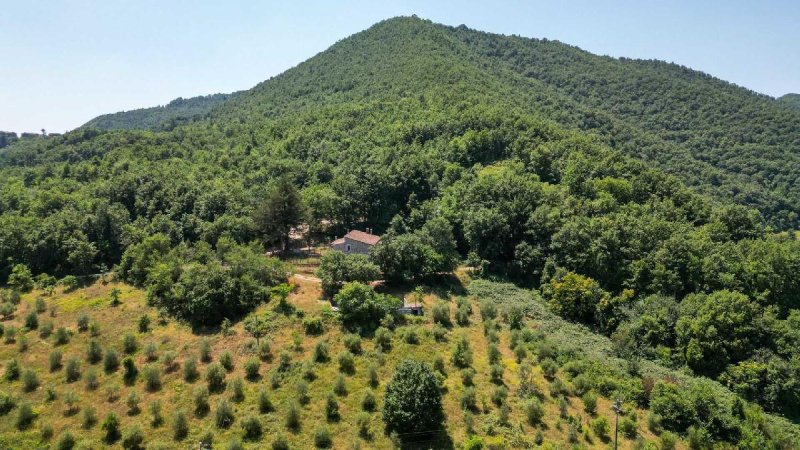 Ferme à Ficulle