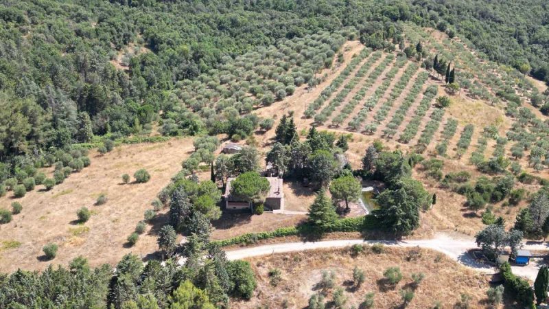 Klein huisje op het platteland in Paciano