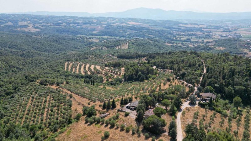 Klein huisje op het platteland in Paciano