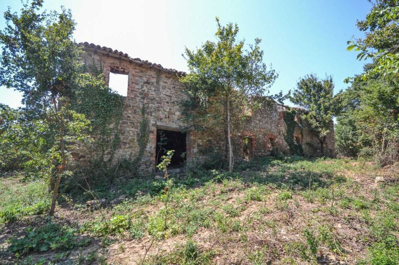 Bauernhaus in San Venanzo