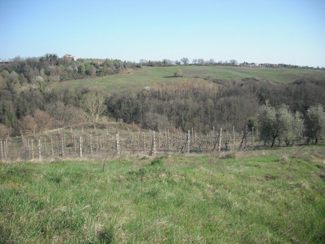 Klein huisje op het platteland in Montegabbione