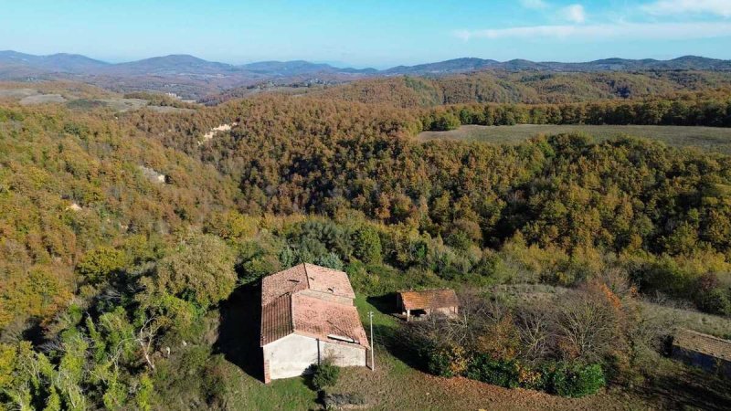 Farmhouse in Parrano