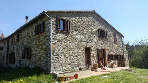 Lantställe i San Venanzo