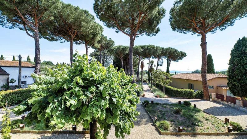 Apartment in Passignano sul Trasimeno