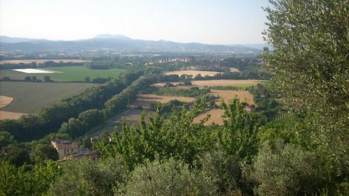 Lantställe i Torgiano