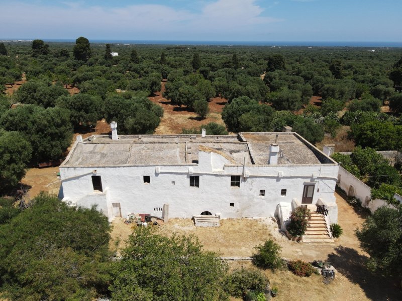 Finca en Ostuni