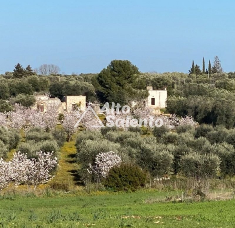Trulli in Ostuni