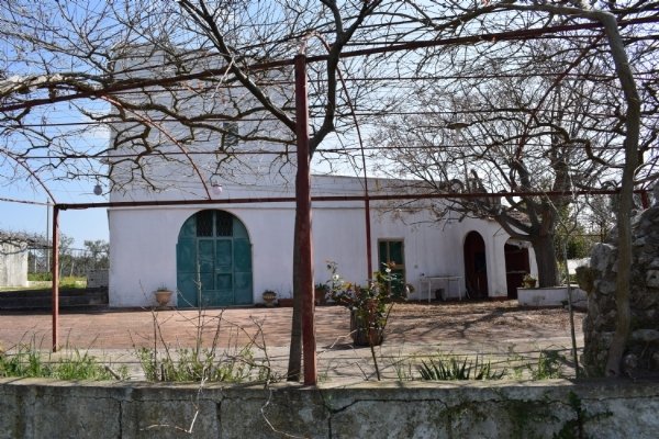 Finca en Ostuni