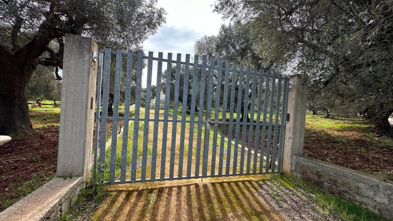 Trullo i Carovigno