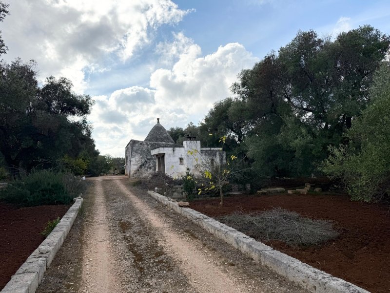 Trullo in Carovigno