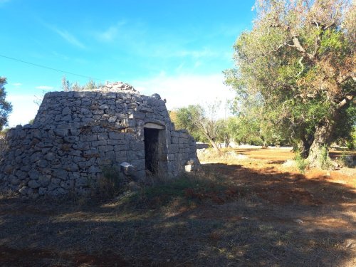 Casa Trullo em Carovigno