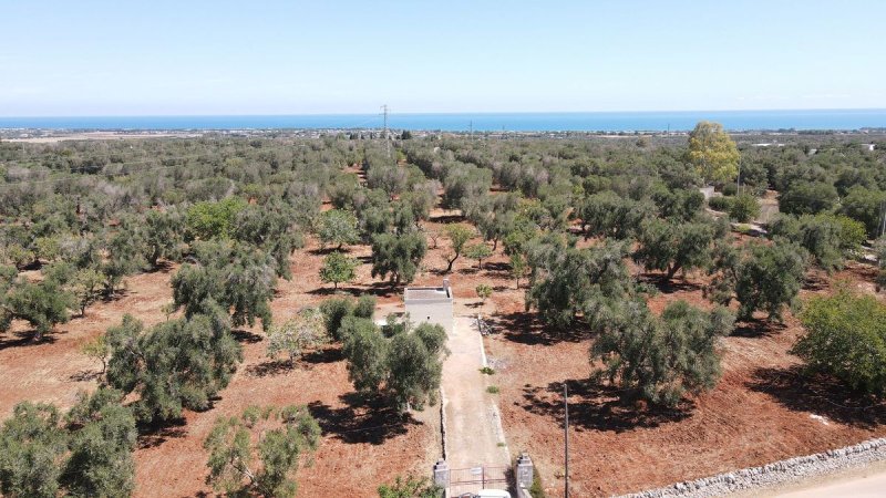 Lâmia em Carovigno