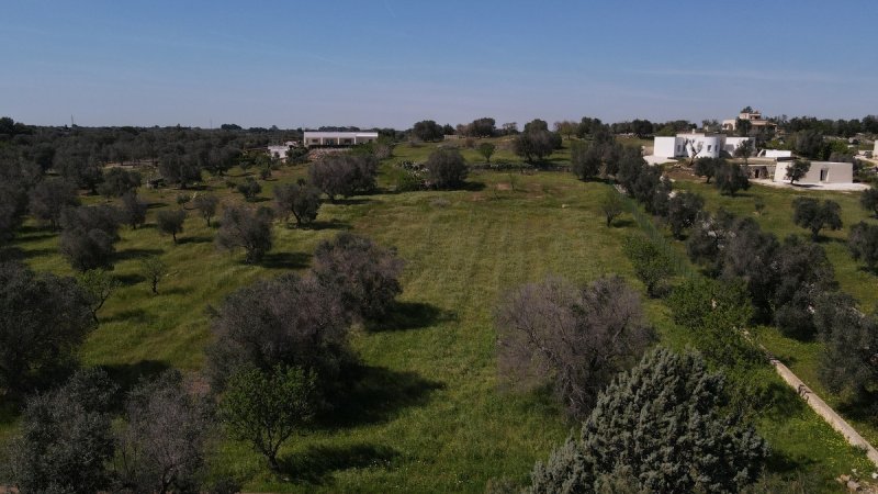 Terrain à bâtir à Carovigno