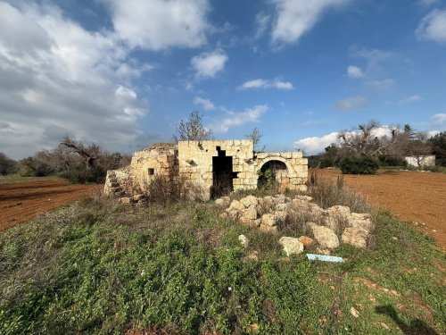Trullo en Carovigno