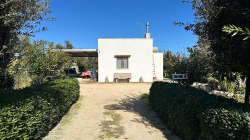 Lamia à Carovigno