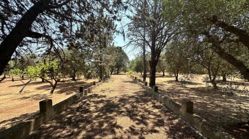 Byggtomt i San Michele Salentino