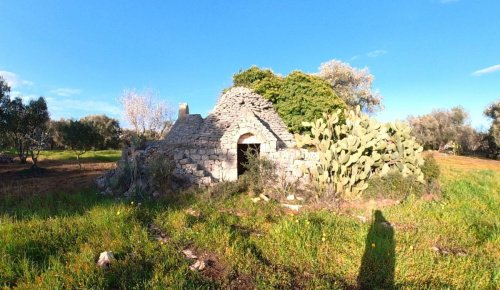 切列梅萨皮卡特魯洛