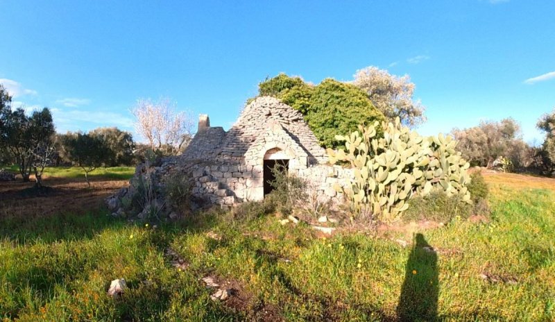 切列梅萨皮卡特魯洛